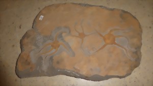 Fossil Sahara