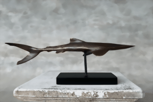 Weisser Hai