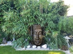 Asiabrunnen im Bambuswald