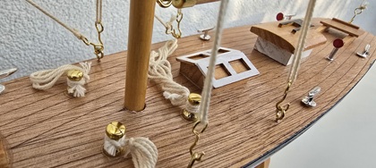 Americans Cup Segler 5 Heck