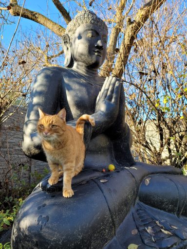 Sitzender Buddha mit 2m Höhe