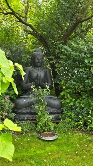 Eine Buddha-Statue sitzt im Garten, umgeben von Grünpflanzen und Büschen.