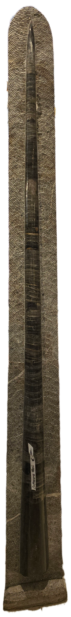 Steinerne Buddha-Statue, aufrecht stehend, Hände in der Rad der Lehrehaltung.