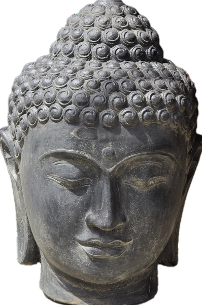 Dunkler Buddha-Kopf mit detaillierten Haarstrukturen und ruhigem Gesichtsausdruck.