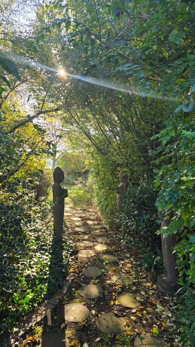 Unser Buddha-Weg im Frühling umgeben von erwachenden Pflanzen und der aufgehenden Sonne.