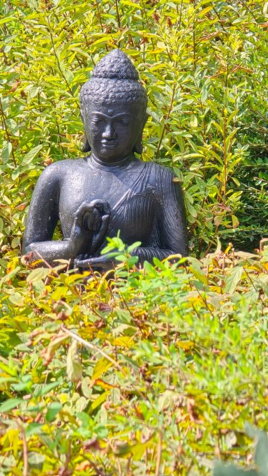 Eine Buddha-Statue, umgeben von üppigem grünem Laub.