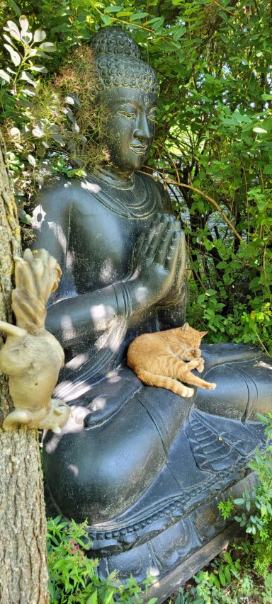 Eine Buddha-Statue sitzt im Grünen mit einer orangefarbenen Katze auf ihrem Schoß.