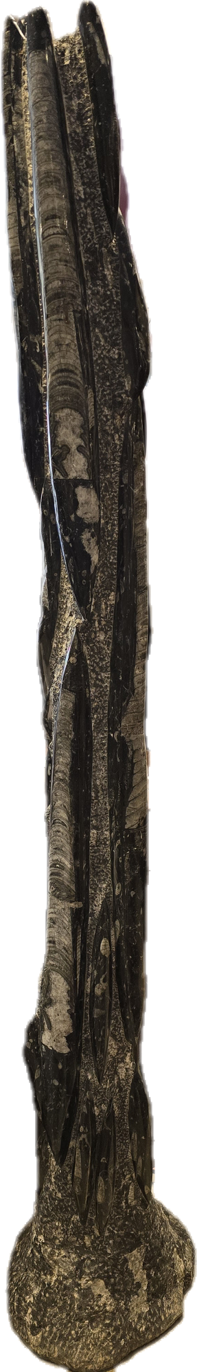 Steinerne Buddha-Statue, aufrecht stehend, Hände in der Rad der Lehrehaltung.