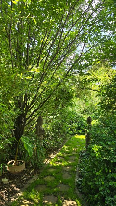 Buddha-Weg im Sommer umgeben von tiefgrünen Pflanzen.