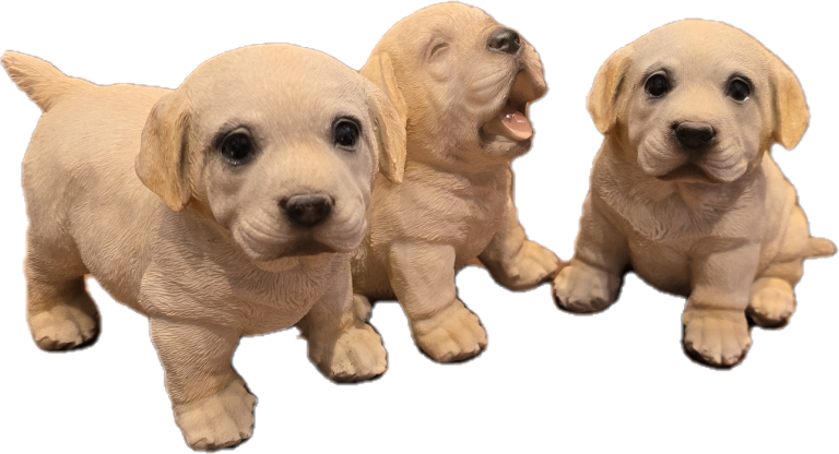 Drei süße, gelbe Labrador-Welpen, die spielen und interagieren.