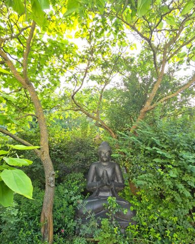 Ein 2m Hoher Buddha sitzt tief im Grün unter den Bäumen.