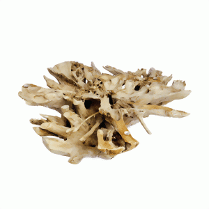 Eine besondere Struktur aus hellem, verwittertem Holz mit vielen freiliegenden Ästen.
