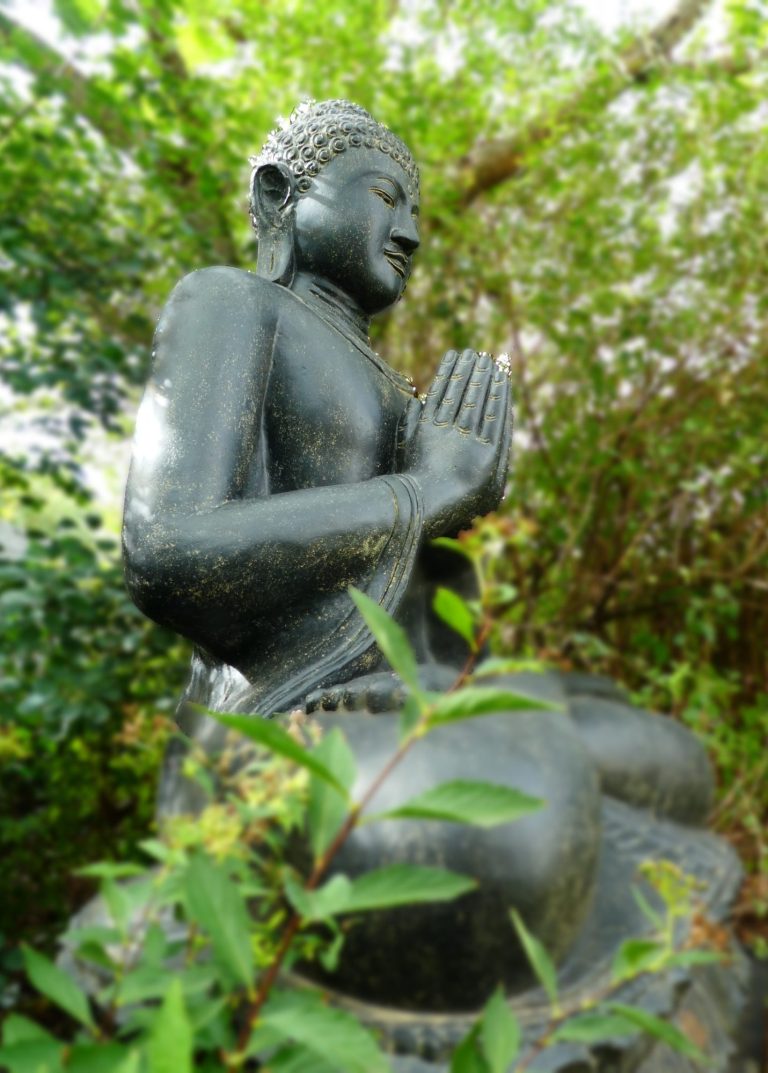 Sitzende Buddha-Statue inmitten von grünen Pflanzen und Sträuchern.